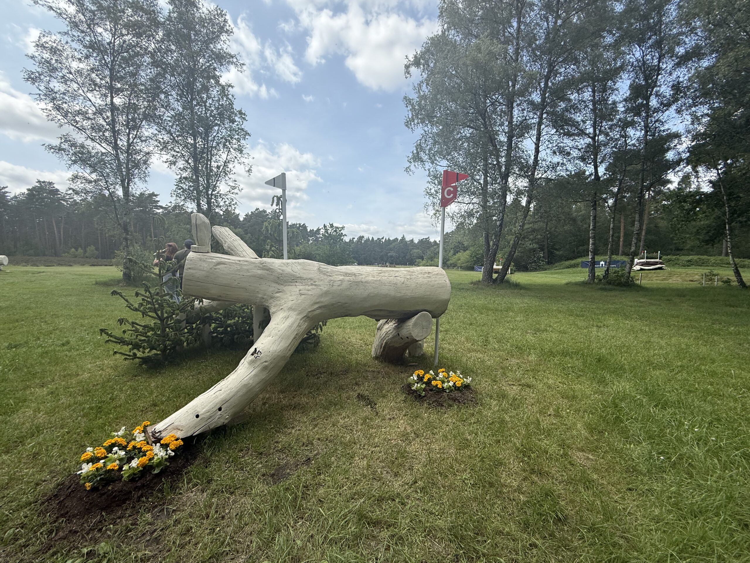 Luhm&amp;uuml;hlen Horse Trials cross-country