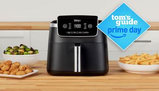 Ninja Air Fryer Pro 4-in-1