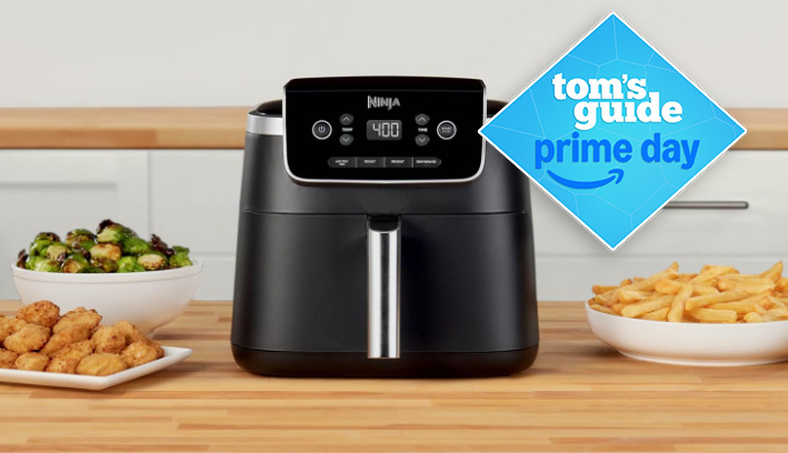 Ninja Air Fryer Pro 4-in-1