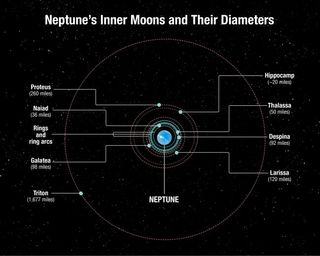 This diagram shows the positions of Neptune's inner moons, as well as their diameters (which range from 20 to 260 miles across).