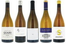 Catalonian white wines