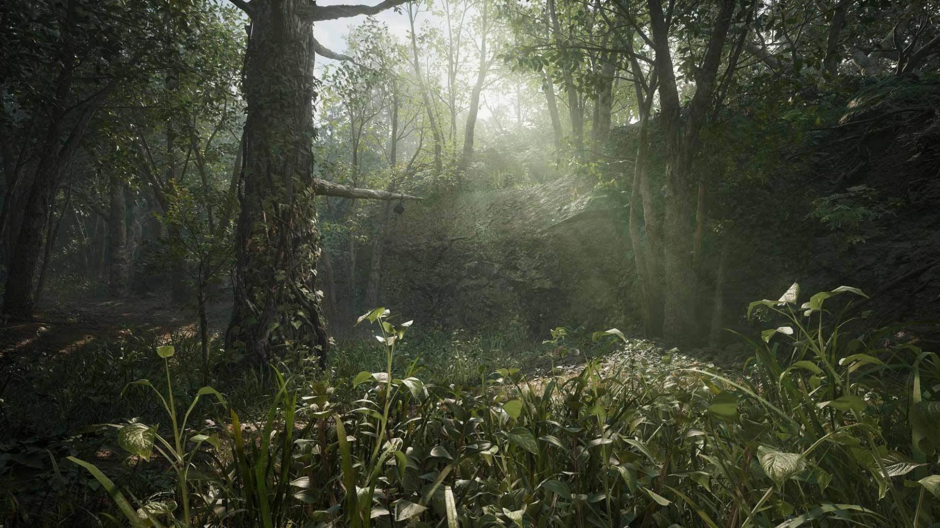 A long shot of the jungle settling in Metal Gear Solid 3 Snake Eater remake