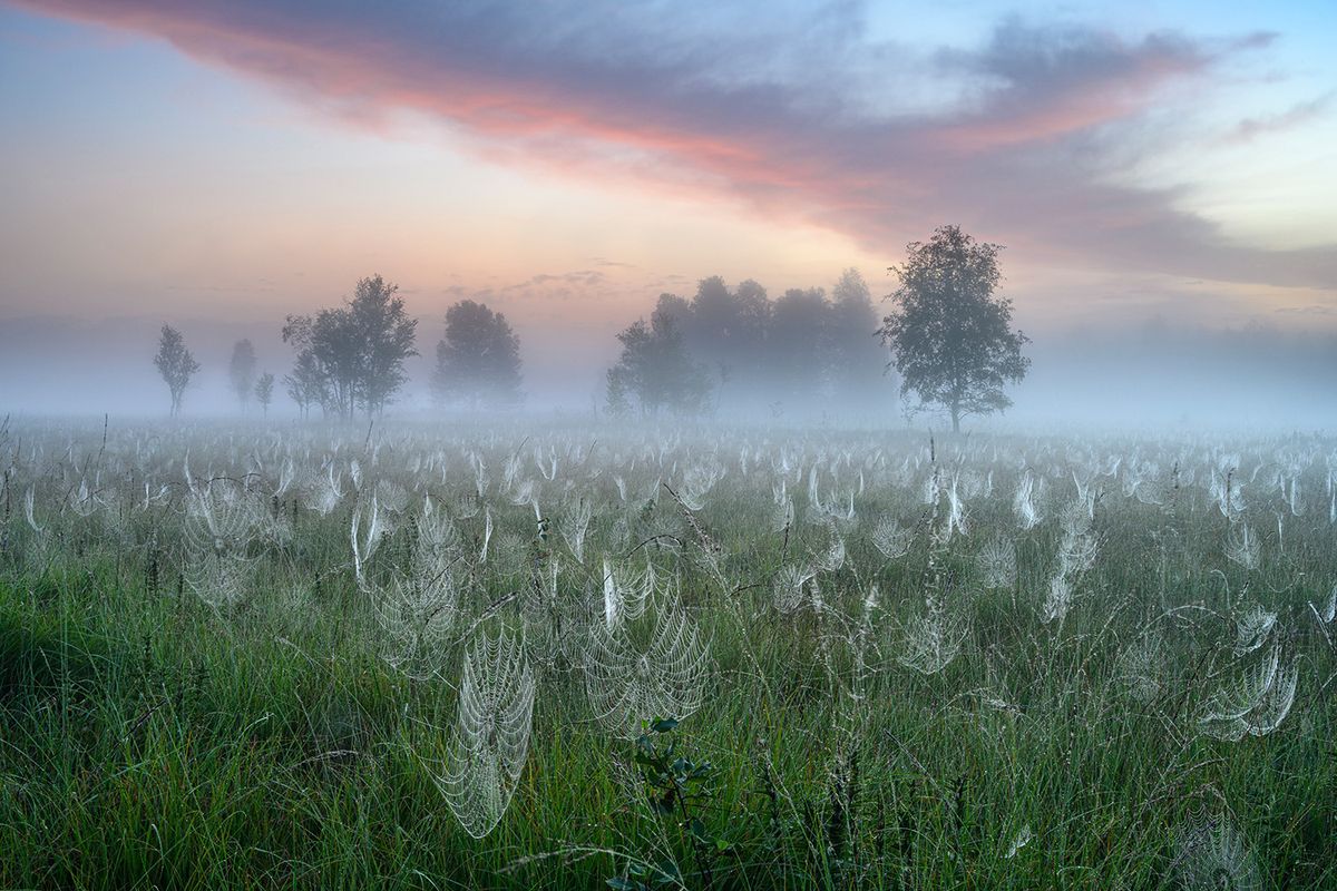 A winning image from the GDT Nature Photographer of the Year