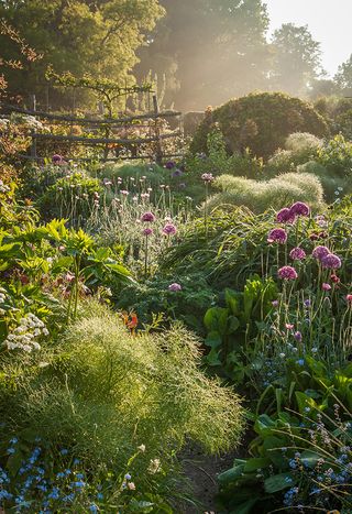 'Through The Garden' by Nicky Flint / ©International Garden Photographer of the Year