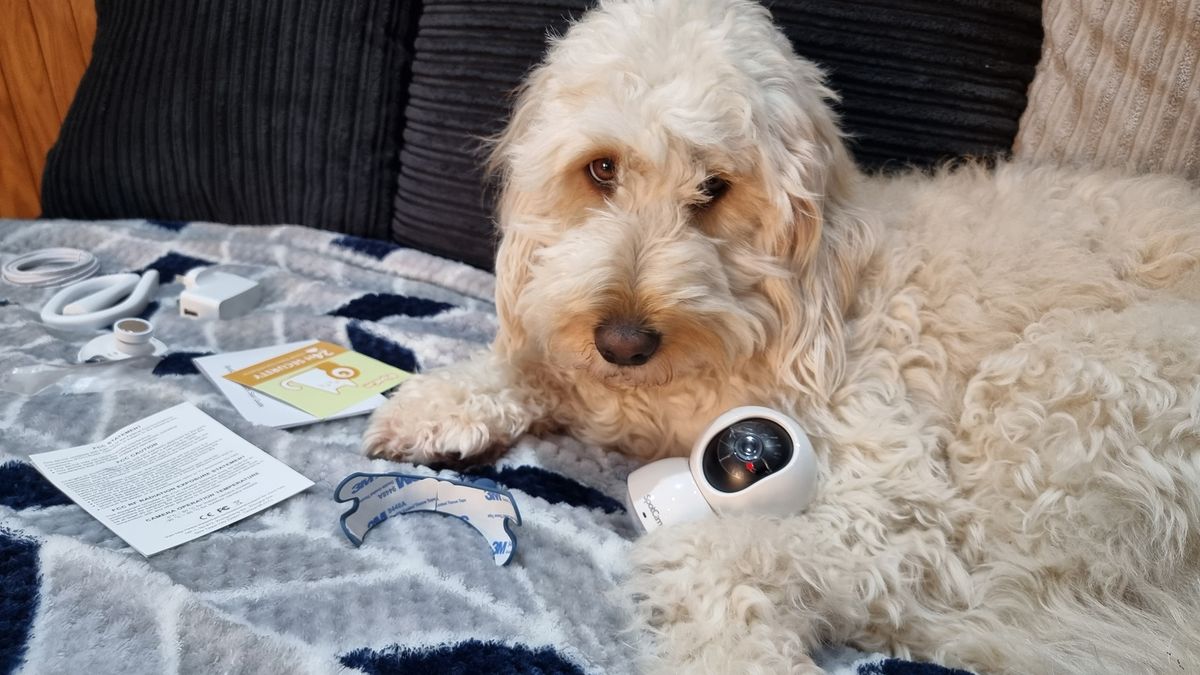 SpotCam Mibo pet camera review