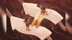 illustration of two hominins sharing an amino acid across a tooth
