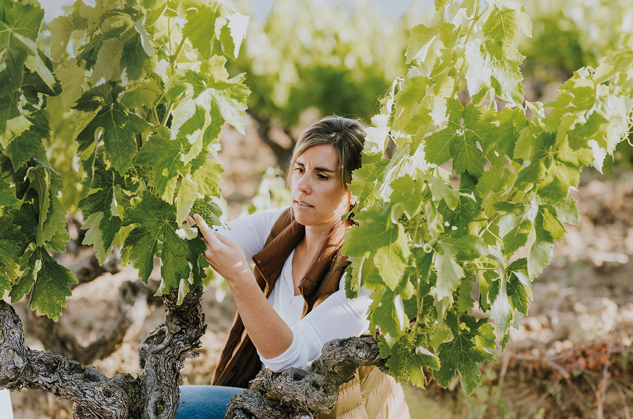 Bodegas Ysios Clara Canals