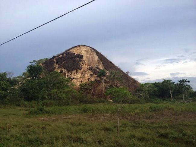 Chocolate Hills