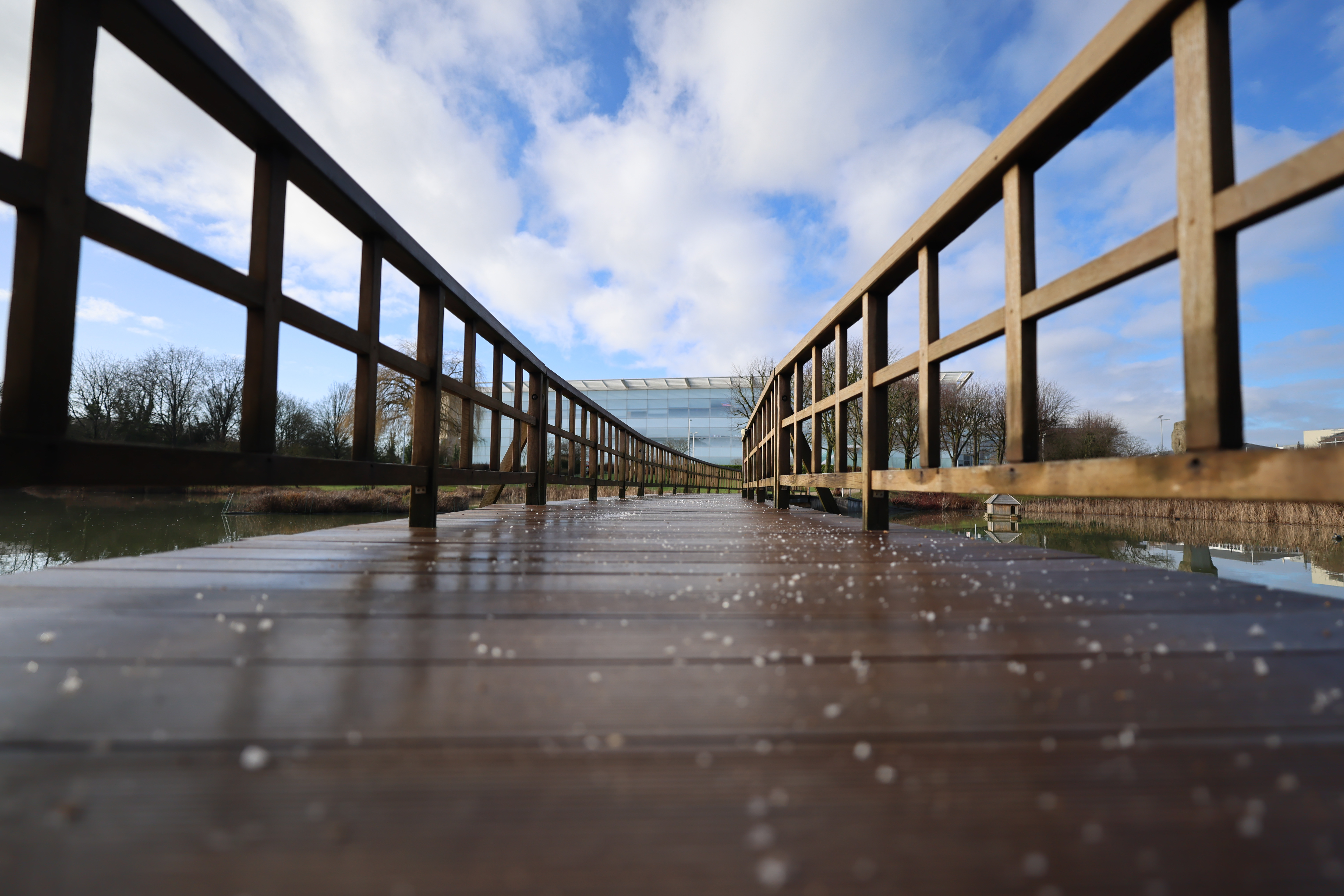A bridge covered in salt shot from a low angle