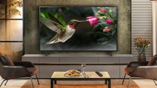 a tv on a wall with a hummingbird on it