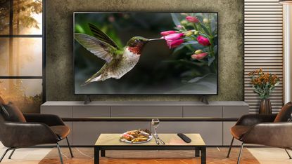 a tv on a wall with a hummingbird on it