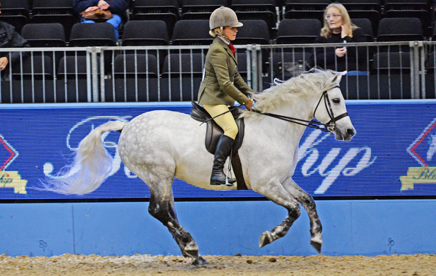 Olympia 22 12 2014