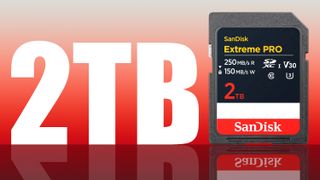 You can now actually buy a 2 TERABYTE SD card!