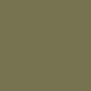 Behr Truly Olive khaki-colored paint swatch
