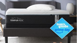 The Tempur-Pedic TEMPUR-ProAdapt Medium Hybrid Mattress on a grey bedframe