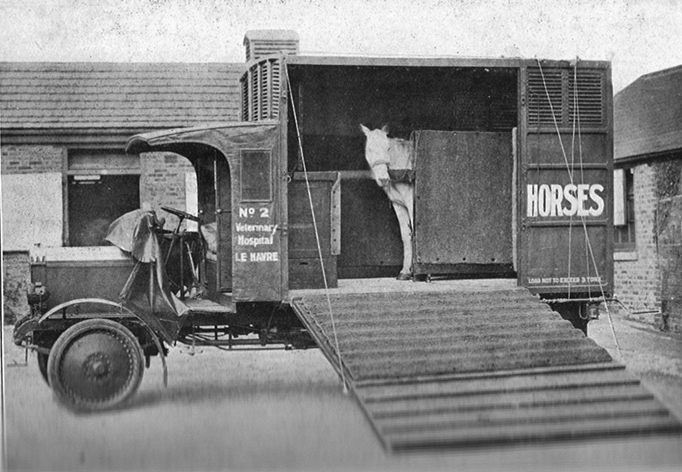 1st-horse-ambulance.jpg