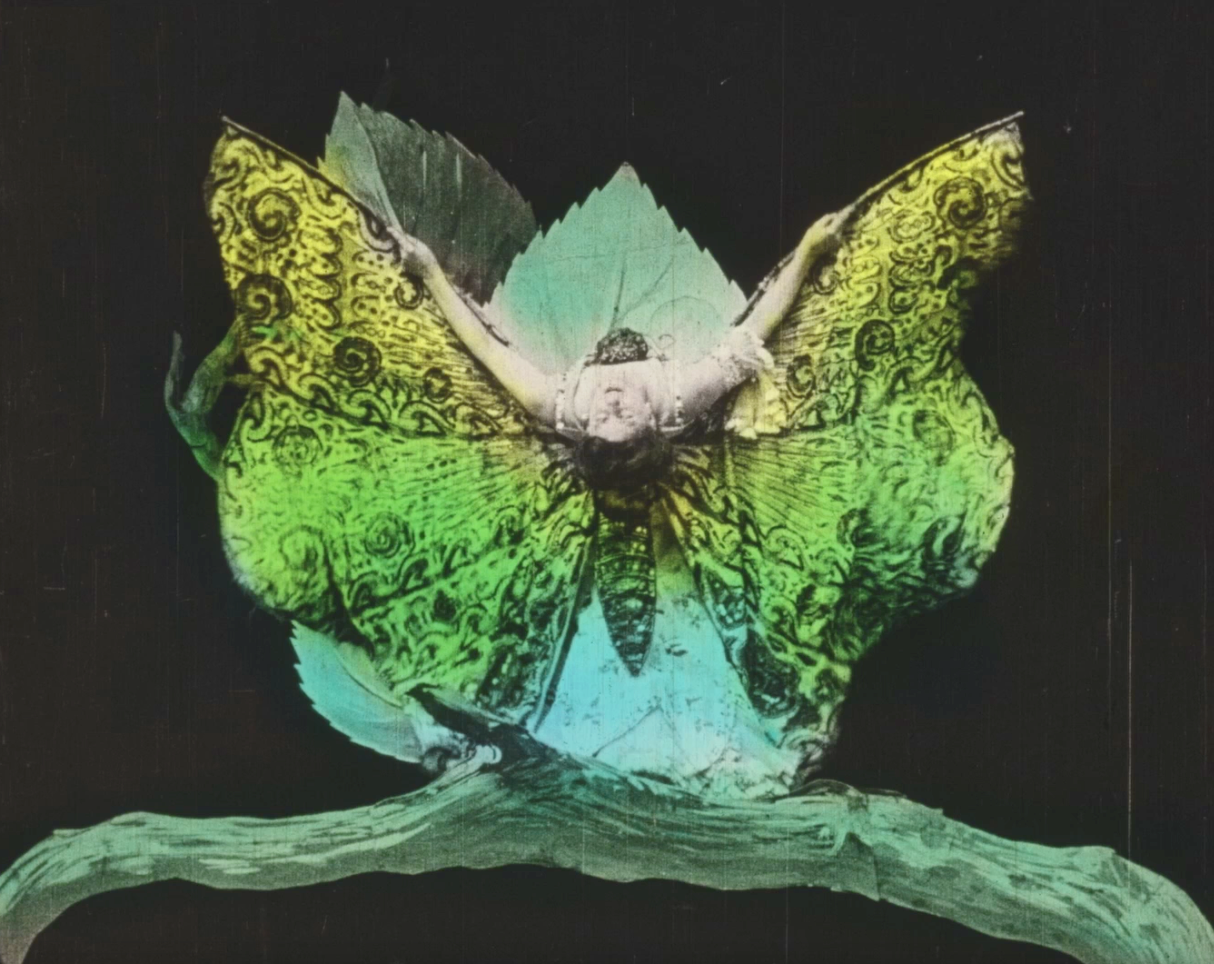 Lobster_Metamorphoses du Papillon