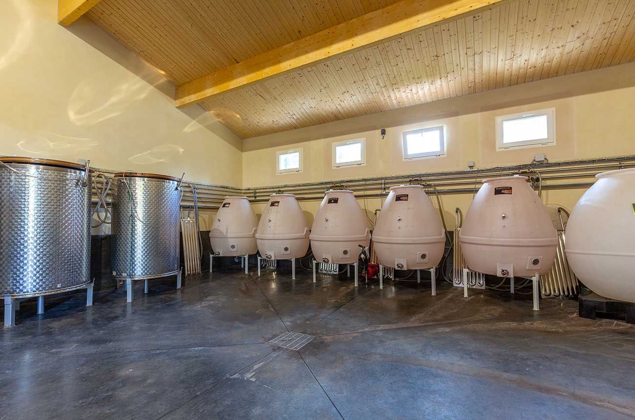 winery for sale vineyards-bordeaux