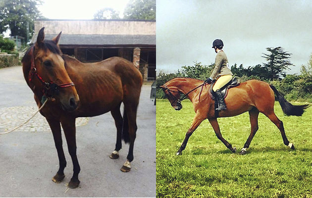 “This is my ex-racer Ojoe (Rockville Watch), who I’ve owned for two-and-a-half years after he had a very short racing career. Ojoe is the sweetest boy and is so willing and honest. Last year I competed him at our first ever racehorse to riding horse show and was placed fifth at Iverk in the Racehorse to Riding Horse Retraining class finals. This year we will be back out showing and we’ve also started dressage and showjumping (a new challenge for us both) and I am hoping to get to some eventing competitions soon. Ojoe has come such a long way, and I can’t wait to see how far we can go together” — Maria McShane
