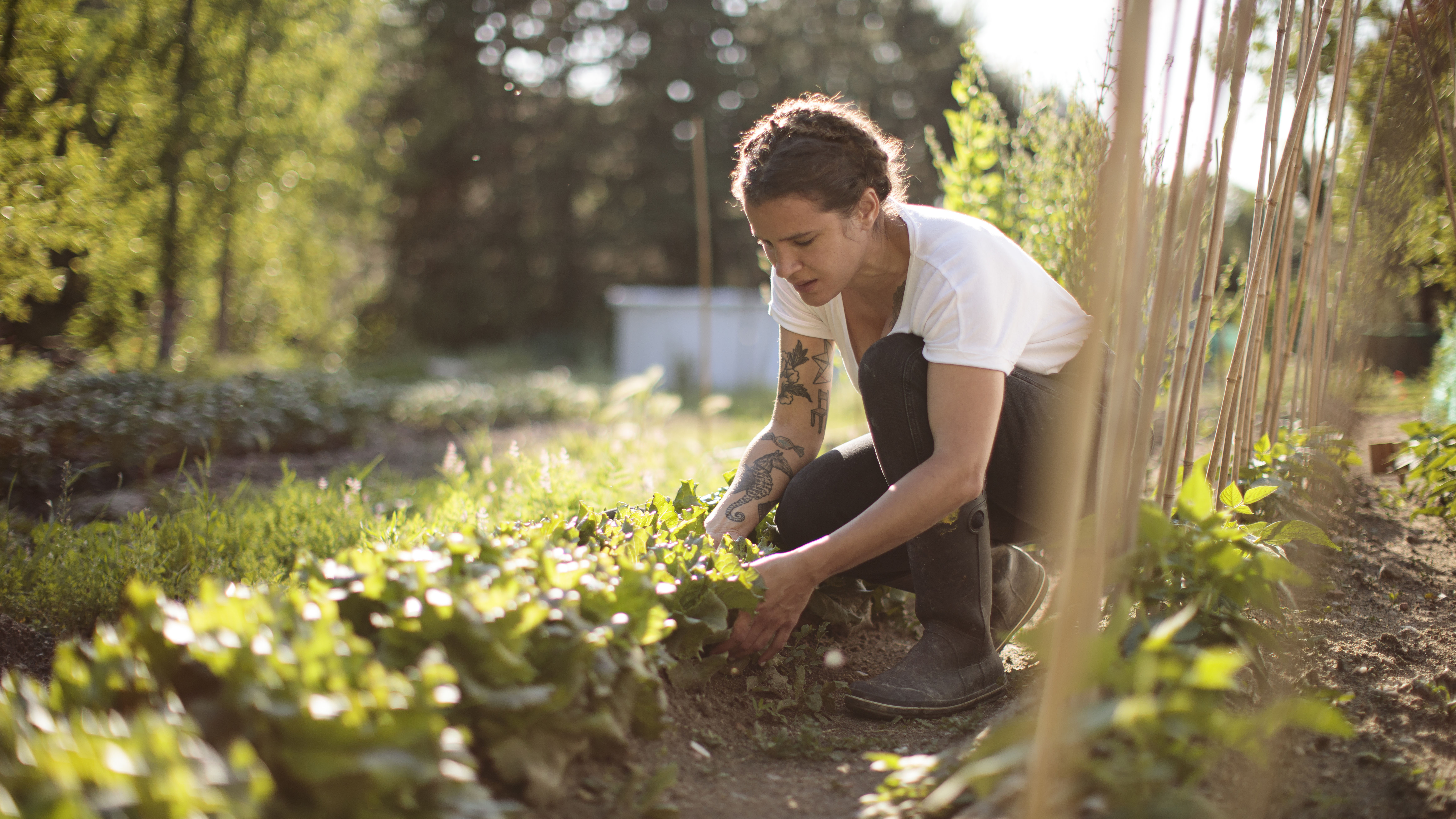 persona que trabaja en el jardín