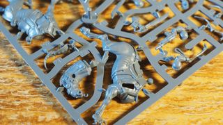 Death Rider sprue laid out on a wooden table