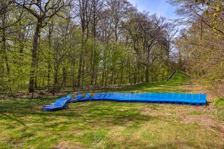 installation of blue sunloungers lined up in clearing in forest