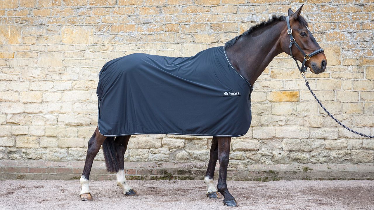 Bucas Panel Prize cooler review