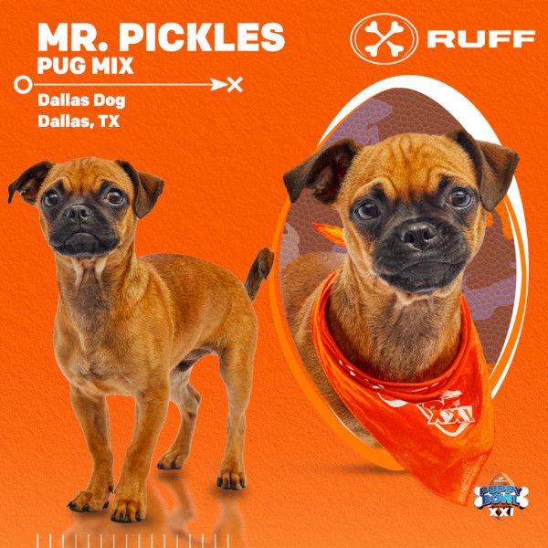Puppy Bowl 2025 Mr. Pickles