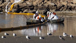 Workers in boats try to clean up floating oil near gulls in the Talbert Marshlands on Oct. 3.