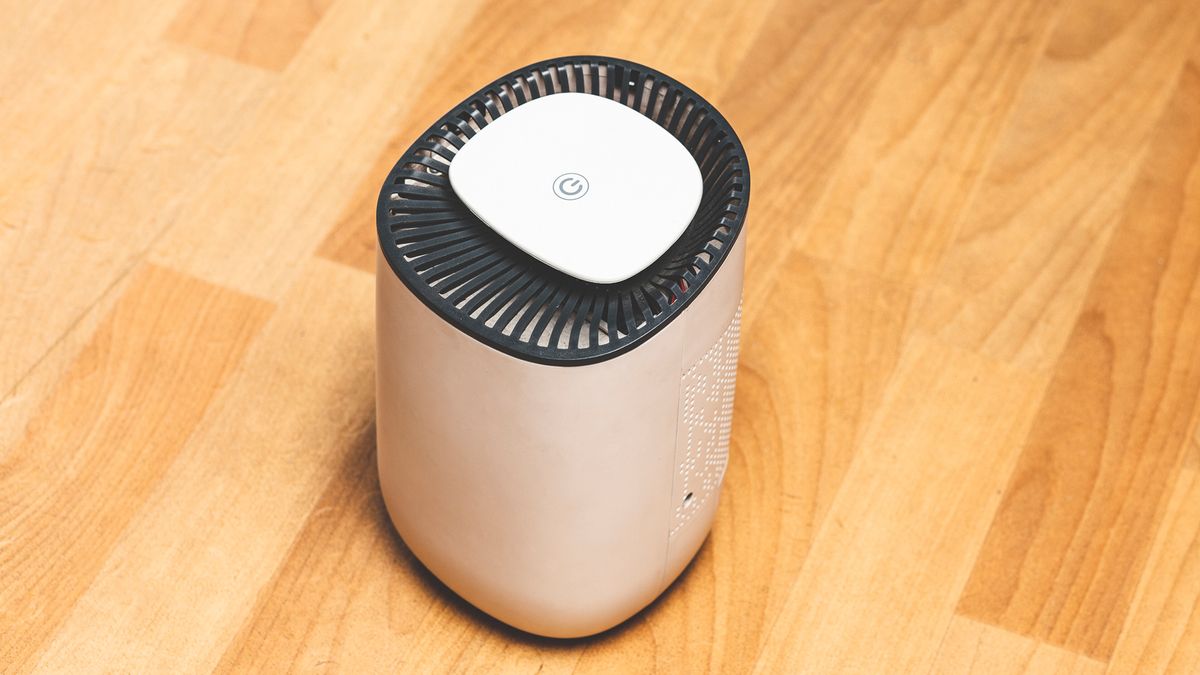 Do dehumidifiers help with mold? Live Science