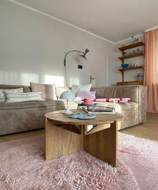 A small living room with a gray couch, coffee table with decor on, and a pink fuzzy rug