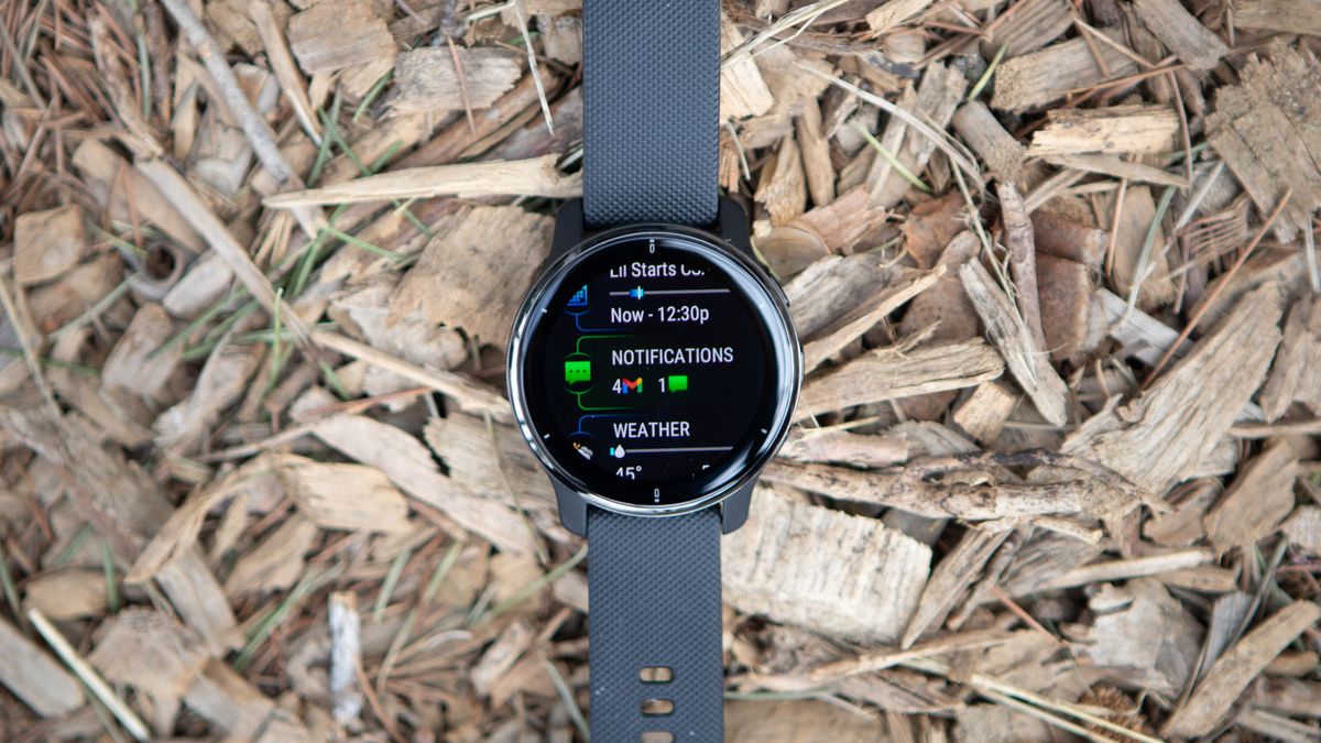 Garmin Venu 2 Plus notifications