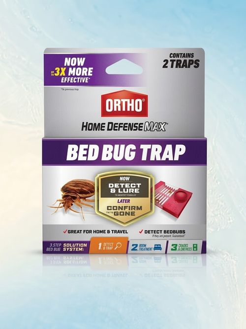 Bed Bug Trap