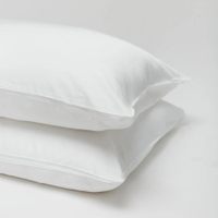 Silk Pillow | Was $330