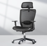 FlexiSpot  Ergonomic Office Chair 