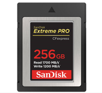 SanDisk 256GB Extreme PRO CFexpress Card Type B|