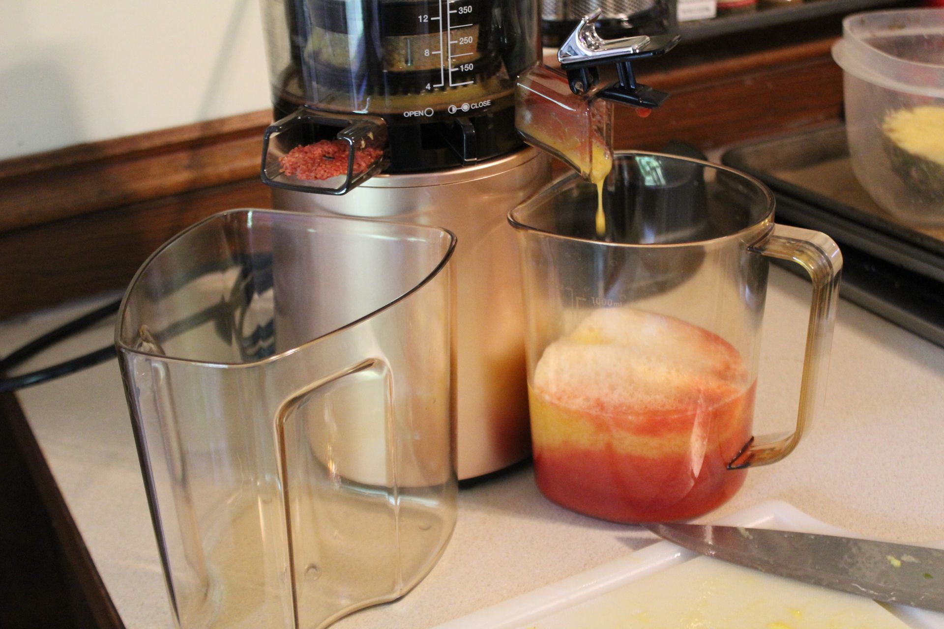 Hurom H-AA Slow Juicer