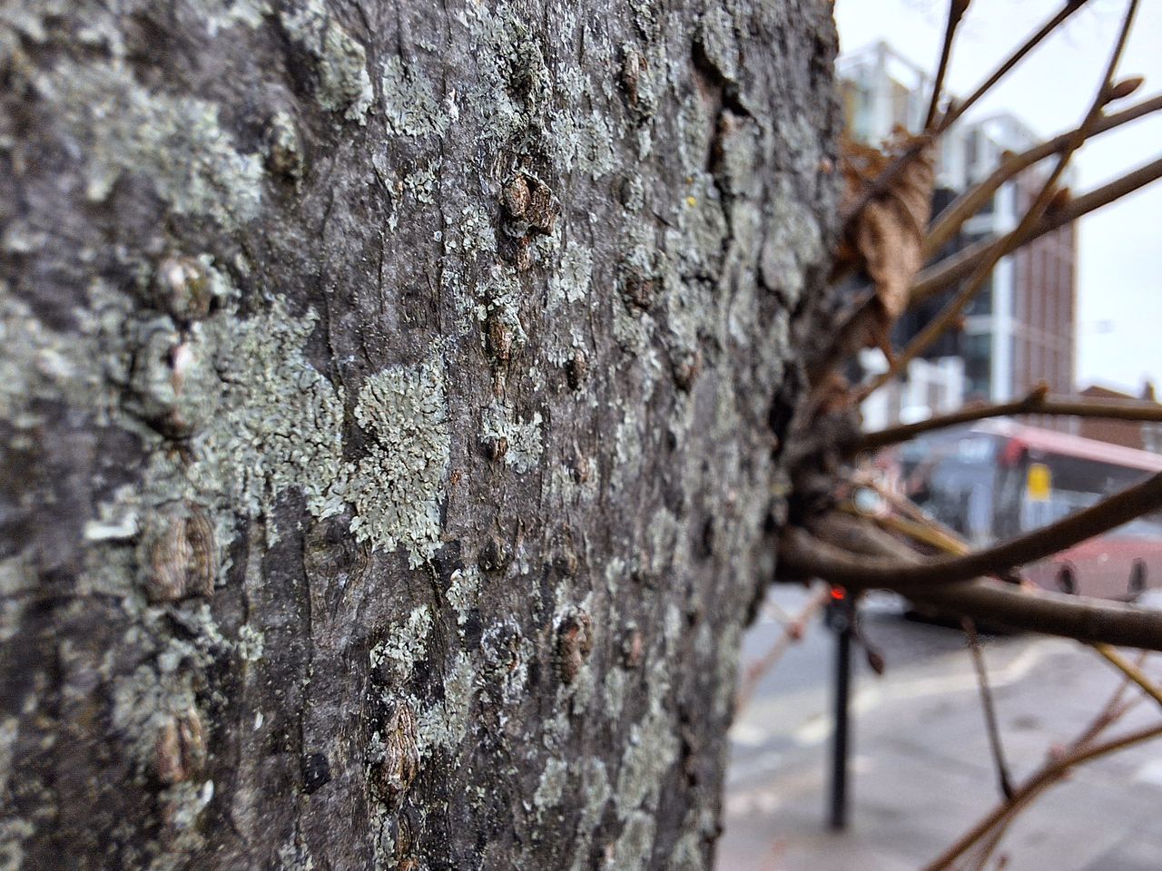 A photo captured on the Samsung Galaxy A54 5G