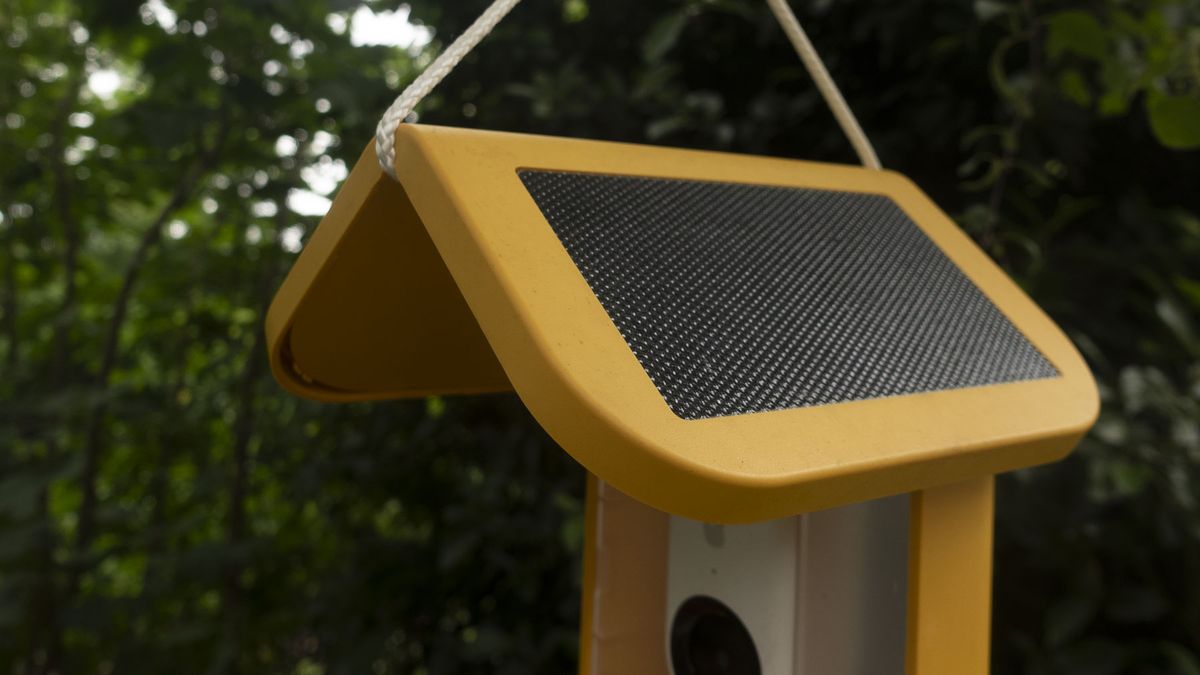 Bird Buddy Smart Bird Feeder camera closeup of its roof