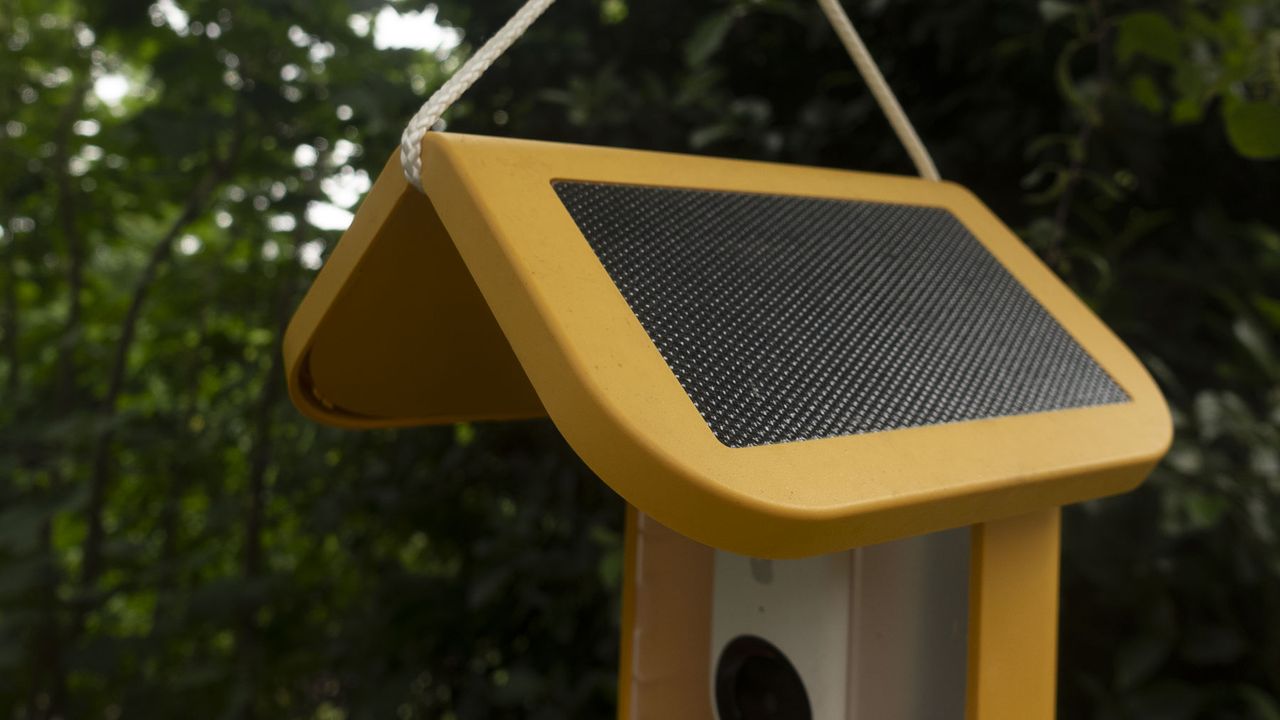 Bird Buddy Smart Bird Feeder camera closeup of its roof