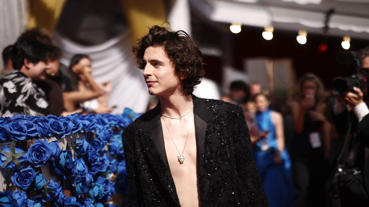 Timothée Chalamet sports a necklace on the red carpet at the 2022 Oscars