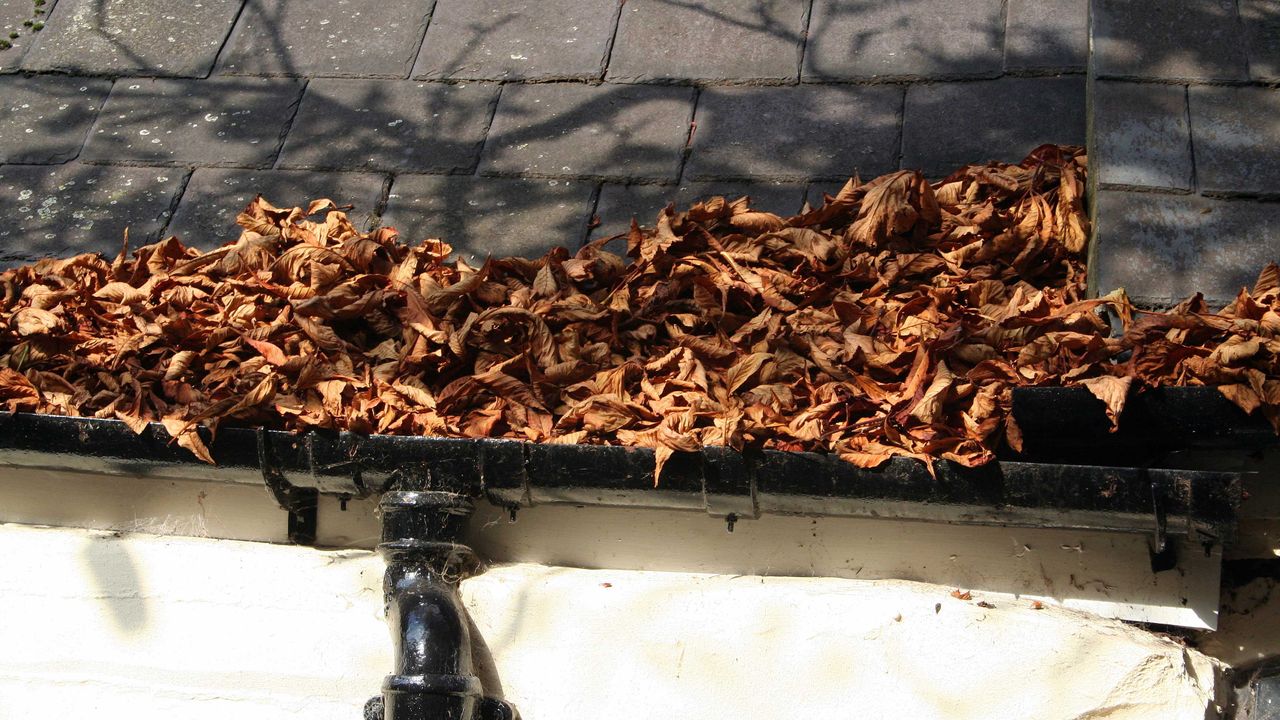 Clear leaves from guttering