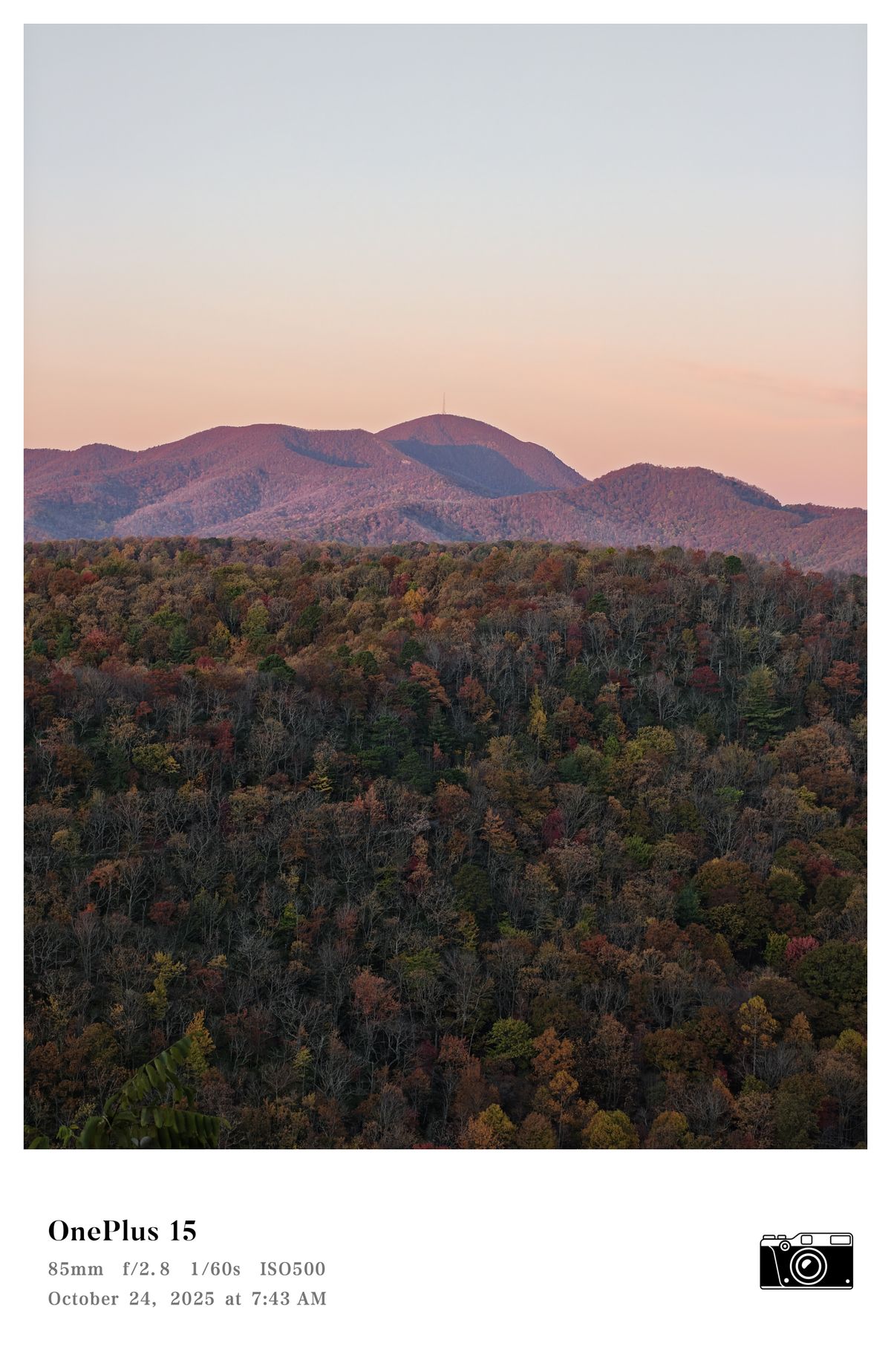 A photo of Fall foliage in the mountains, captured with a OnePlus 15