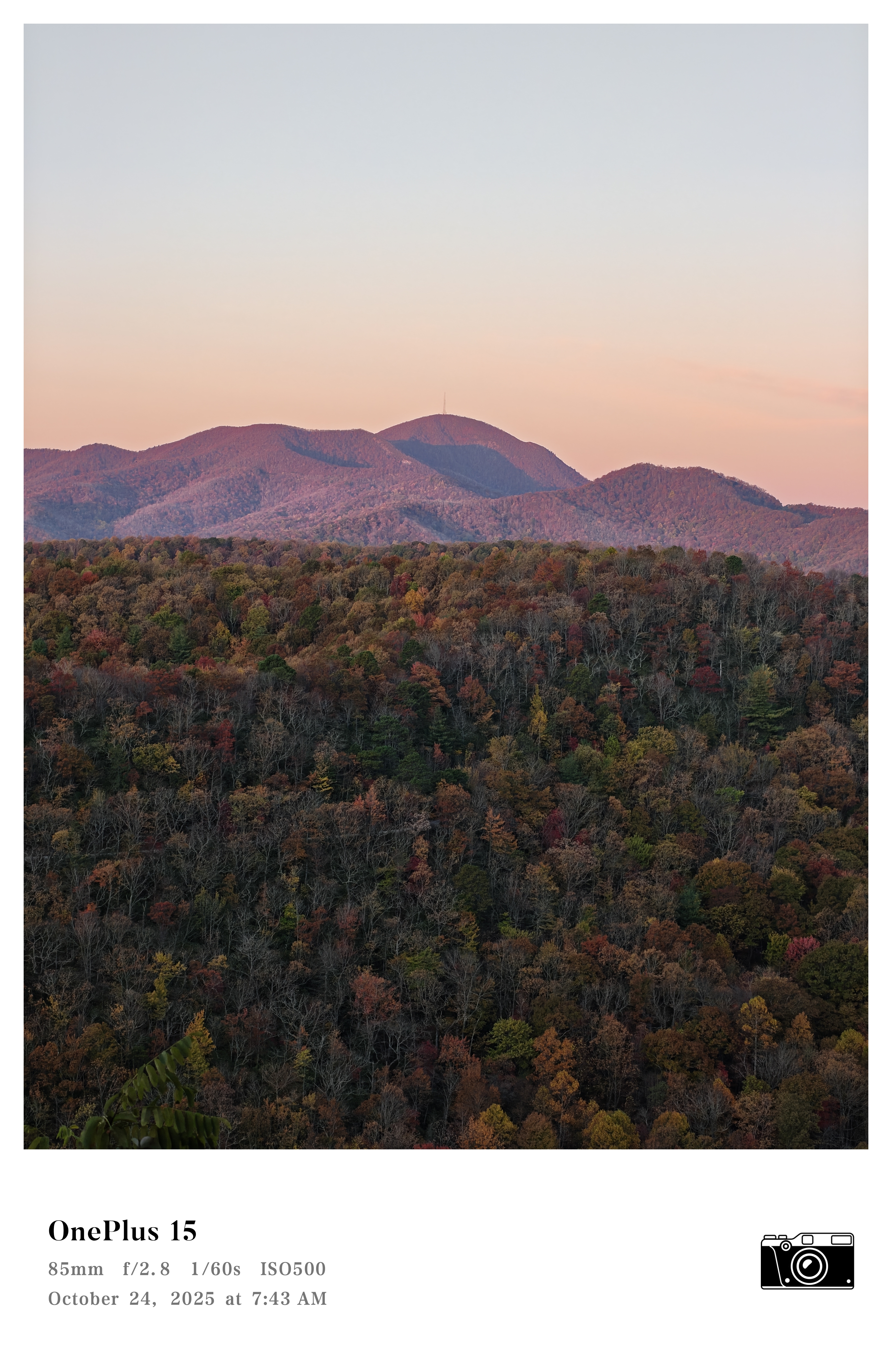 A photo of Fall foliage in the mountains, captured with a OnePlus 15