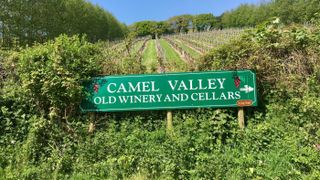 Camel Valley Winery