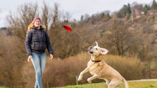 Woman playing fetch with her dog