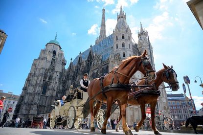 A horse and carriage in Vienna.