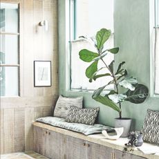 A wooden window seat next to a green wall with layered cushions and house plants