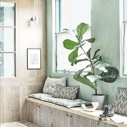 A wooden window seat next to a green wall with layered cushions and house plants