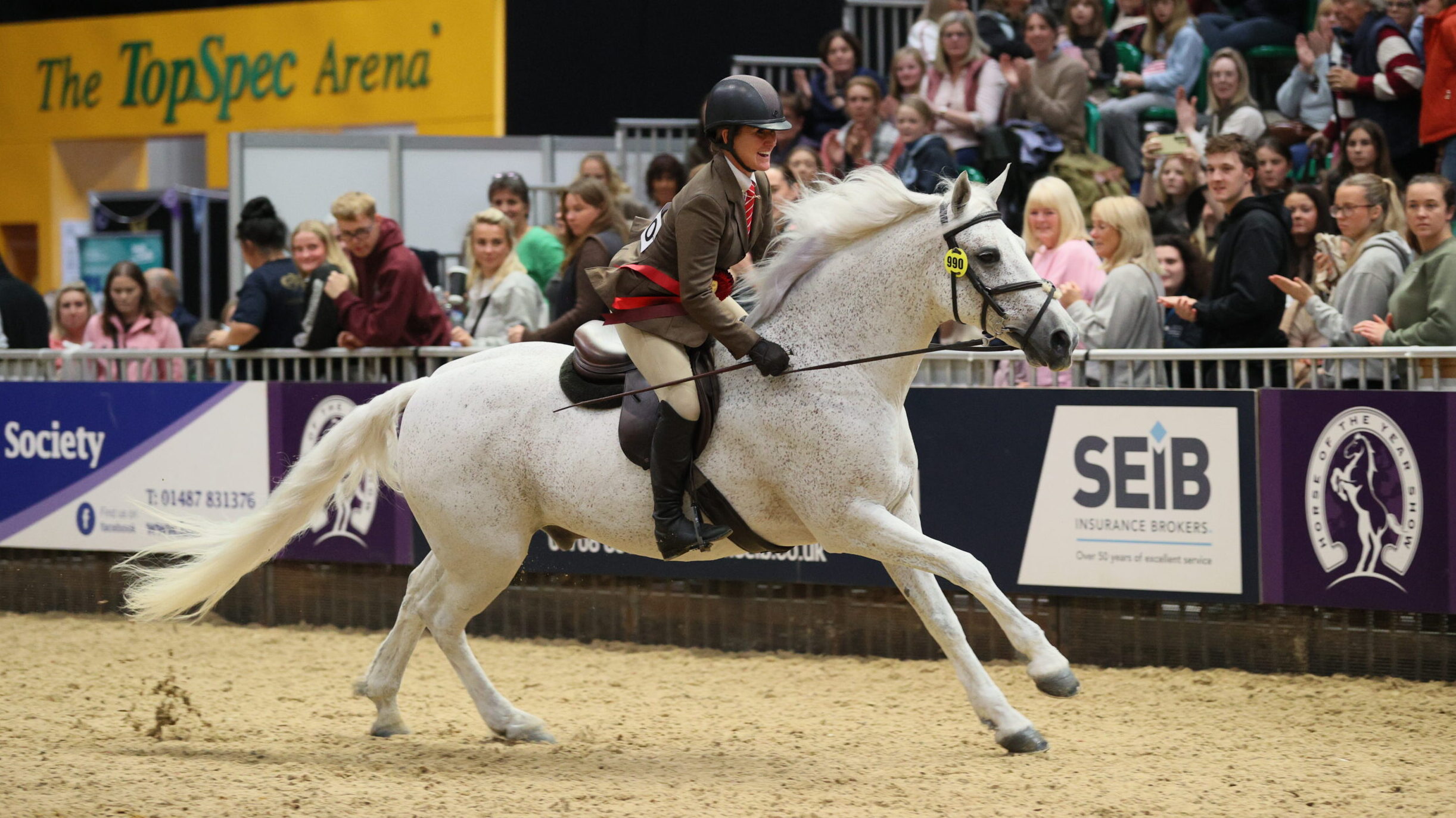 Highland Des and Rachel Turner win the exceeding 143cm M&amp;amp;M working hunetr pony final at HOYS 2025